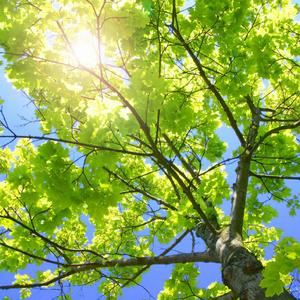 儿科检查隐私网站
